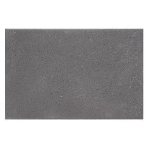 Terrastegel 40x60x4,1 cm Bree zwart vlak
