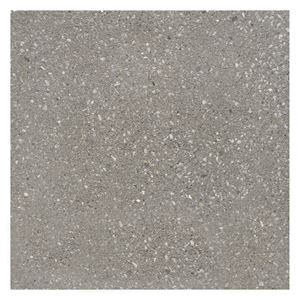 Dalle de terrasse 40x40x3,7 cm Kassel gris claire
