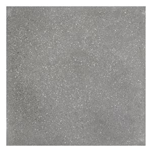 Dalle de terrasse 60x60x4,1cm Kassel gris claire